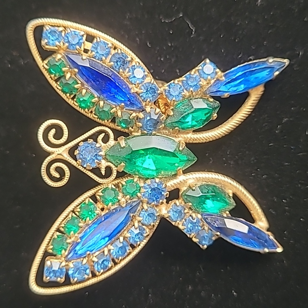 Beautiful blue/green butterfly